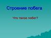 Строение побега. Что такое побег?