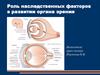 Роль наследственных факторов в развитии органа зрения