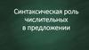 Синтаксическая роль числительных в предложении