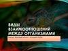 Виды взаимоотношений между организмами. Классификация межвидовых взаимоотношений