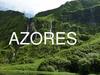 Azores. Atlantic forests
