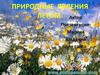 Природные явления летом
