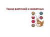 Ткани растений и животных