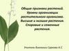 Общие признаки растений. Уровни организации растительного организма. Высшие и низшие растения