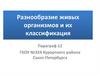 Разнообразие живых организмов и их классификация