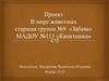 Проект "В мире животных"