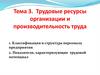 Трудовые ресурсы организации и производительность труда