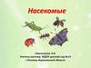 Игра "Насекомые"