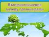 Взаимоотношения между организмами
