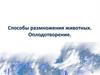 Способы размножения животных. Оплодотворение