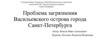 Проблема загрязнения Васильевского острова города Санкт-Петербурга