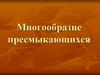 Многообразие пресмыкающихся