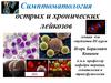 Симптоматология острых и хронических лейкозов