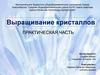 Выращивание кристаллов. Практическая часть