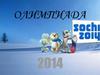 Олимпиада 2014