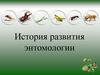 История развития энтомологии