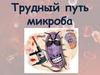 Трудный путь микроба