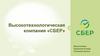 Высокотехнологическая компания «СБЕР»