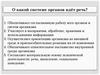 О какой системе органов идёт речь?