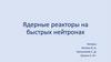 Ядерные реакторы на быстрых нейтронах