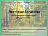 Лес - наше богатство