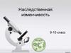 Наследственная изменчивость. 9-10 класс