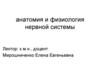 Анатомия и физиология нервной системы. Лекция 4-5
