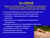 Малярия - острый антропонозный трансмиссивный протозооз