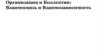 Организация и коллектив. Взаимосвязь и взаимозависимость
