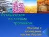 Путешествие по лесным тропинкам. Немного о заповедных местах России