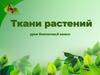 Ткани растений. Вакуоль