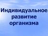 Индивидуальное развитие организма