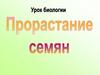 Прорастание семян