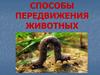 Способы передвижения животных
