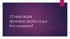 12 месяцев финансового года