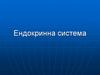 Ендокринна система