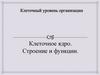 Клеточное ядро. Строение и функции.  Клеточный уровень организации