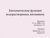 Биохимические функции водорастворимых витаминов
