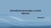 Ботайская культура и эпоха бронзы. Андроновская культура. Лекция 2