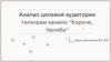 Анализ целевой аудитории телеграмм канала “Короче, Челяба”