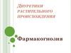 Диуретики растительного происхождения