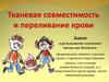 Тканевая совместимость и переливание крови