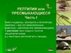 Рептилии или пресмыкающиеся