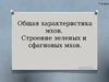 Общая характеристика мхов. Строение зеленых и сфагновых мхов