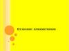 Правопис прикметників