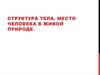 Cтруктура тела. Место человека в живой природе