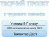 Творчий проект з трудового навчання