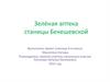 Зелёная аптека станицы Бекешевской