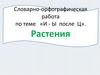 Словарно-орфографическая работа по теме «И - Ы после Ц». Растения