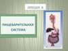 Пищеварительная система